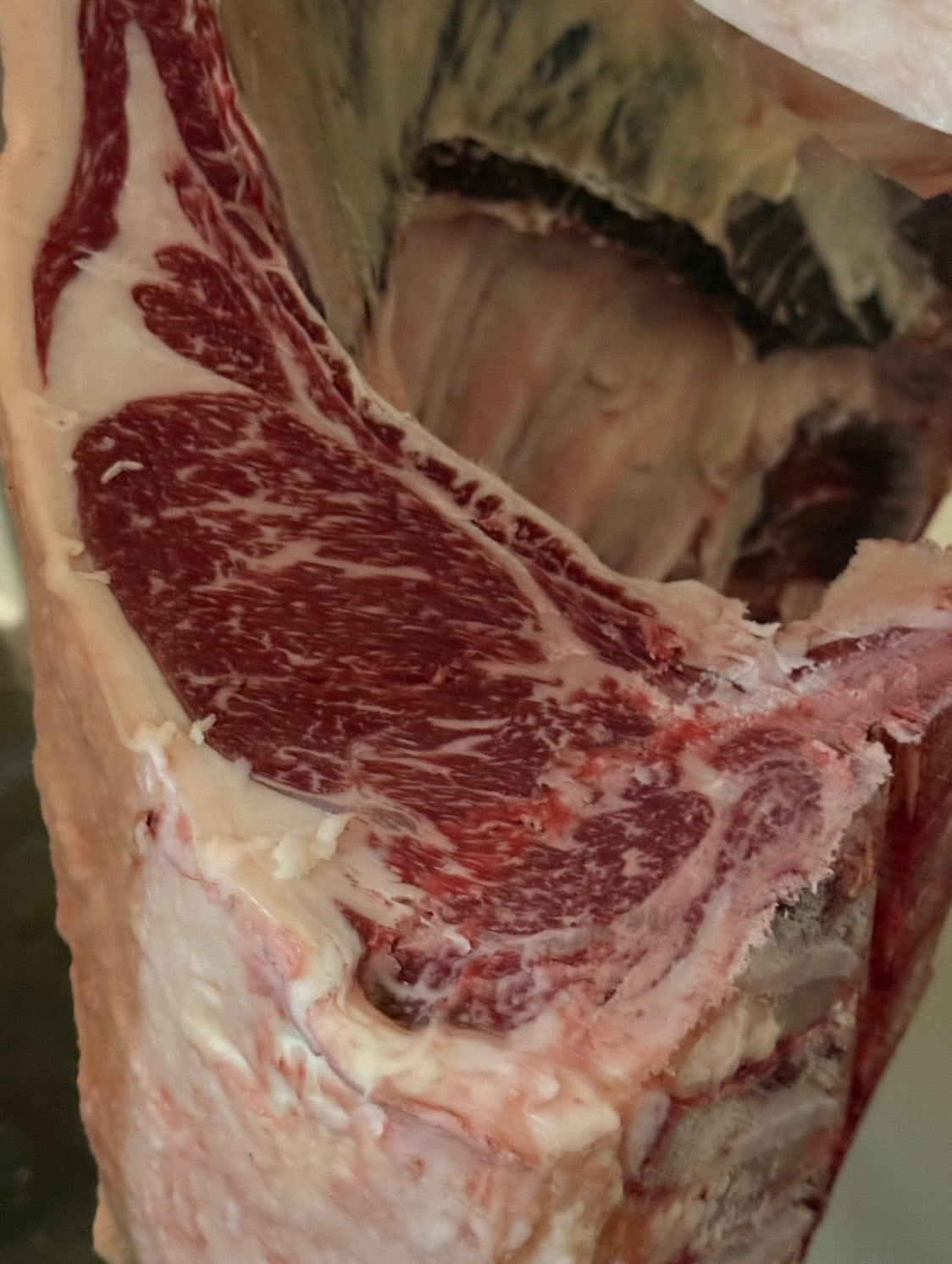 FULLBOLLD JAPANESE WAGYU RIBEYE